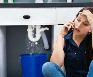 About Professional Plumbers